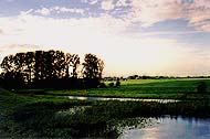 boerenuiterwaarden bij Culemborg